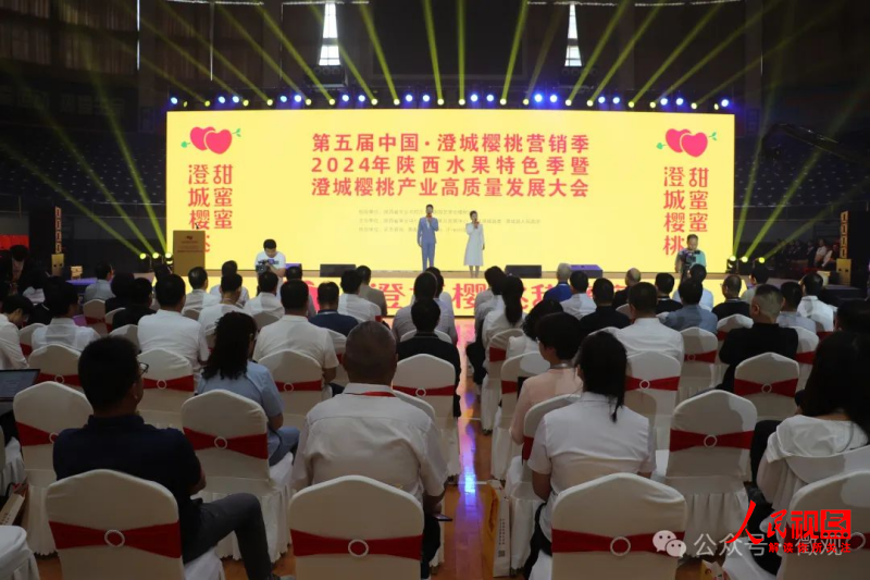 第五届中国·澄城樱桃营销季2024年陕西水果特色季在澄城县启动